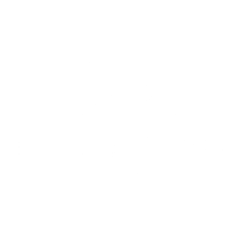 True North Studio